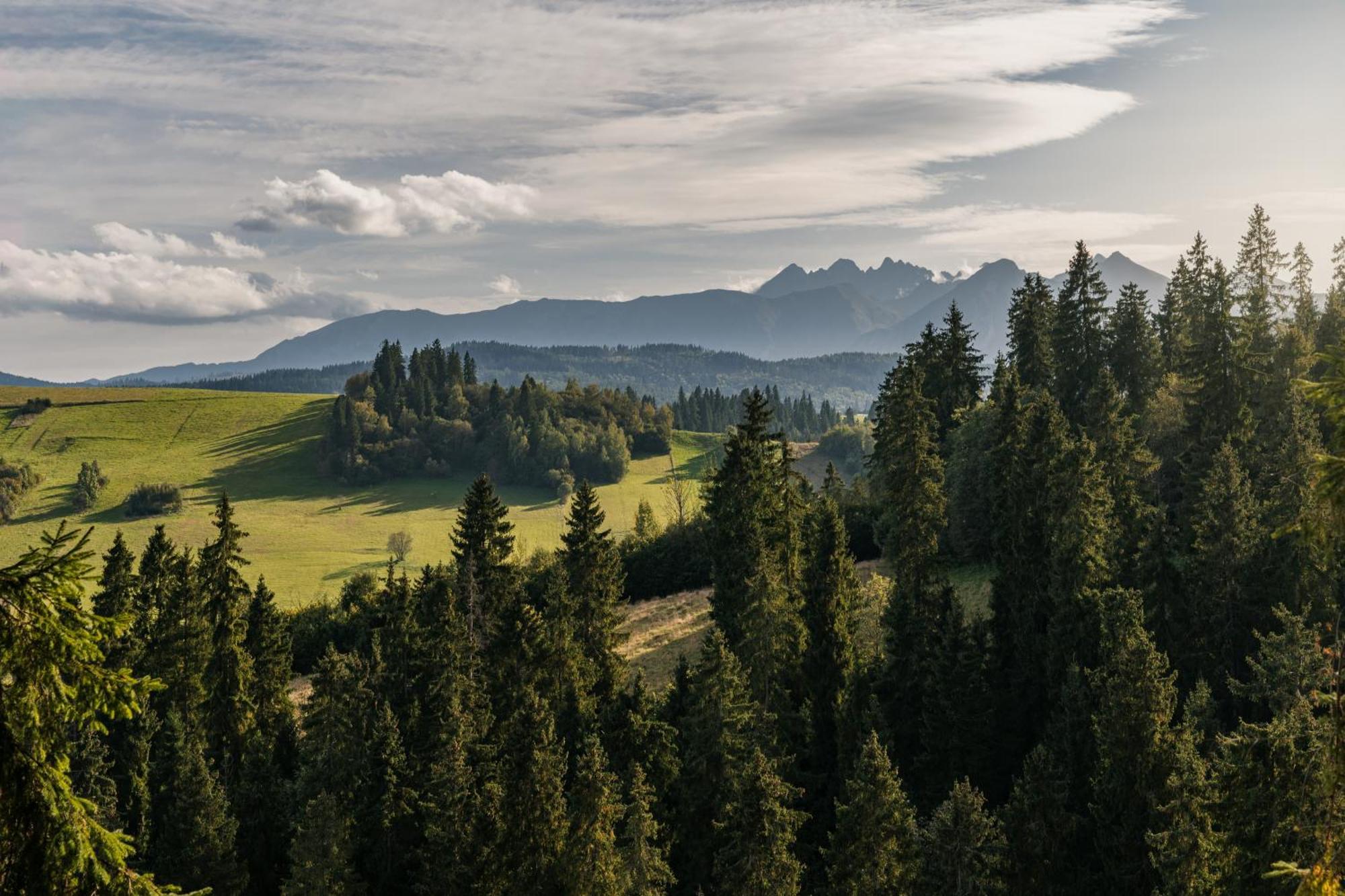 Domek W Halpusie Villa Łapsze Niżne Esterno foto